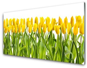 Fali üvegkép Tulipán virágok természet 140x70 cm