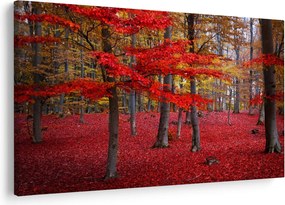 Kép - vörös erdő (90x60 cm)