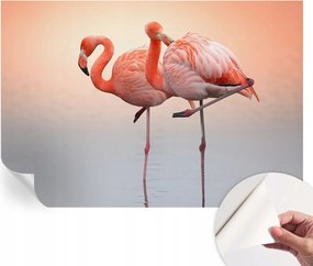 ĂntapadĂłs fotĂłtapĂ©ta Divatos Finom flamingĂłk 152x104 cm
