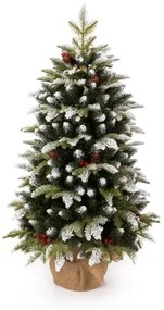 3D-s Havas Jegenyefenyő karácsonyfa cserépben 100cm