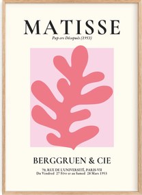 Poszter 50x70 Henri Matisse Rózsaszín organikus forma Berggruen 1953 Papír
