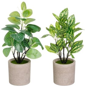 Műnövény szett 2 db-os (magasság 28 cm) – Casa Selección