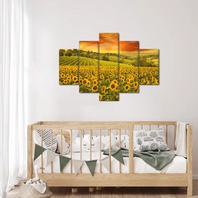 Kép - Napraforgó mező (150x105 cm)