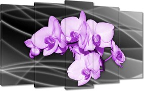 Vászonkép 100x60 Szép orchidea virág