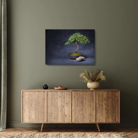 Kép - Bonsai (üvegen) (70x50 cm)