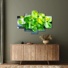 A menta képe (150x105 cm)