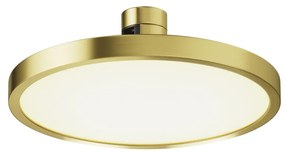 TR153-1-10W2.7K-BS-DE Plato Alumínium Sín lámpafej Sárgaréz Színű LED 10 W 2700 Kelvin 400 Lumen IP20