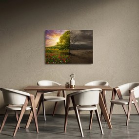 Kép - Életciklus (üvegen) (70x50 cm)