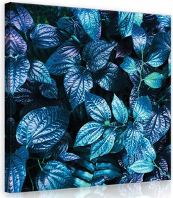 Vászonkép 40x40 Trópusi levelek kék árnyalatok egzotikus természet nyugalom