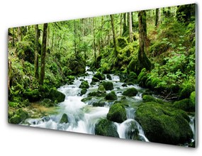 Fali üvegkép Forest Stream River Falls 120x60cm