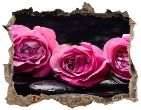 3d-s lyuk vizuális effektusok matrica Rózsaszín rózsa nd-k-77048055