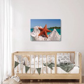 Egy tengeri csillag képe (üvegen) (70x50 cm)