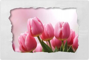Poszterek 90x60 Rózsaszín tulipánok