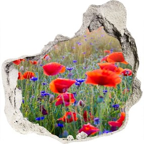 3d-s lyuk vizuális effektusok matrica Field virágok nd-p-65959167
