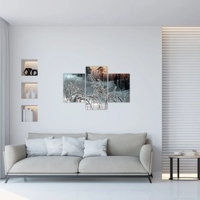 Kép - Fagyott rét (90x60 cm)