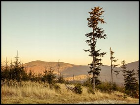 Tájkép hegyek fa erdő fű poszter 30x40cm