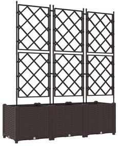 Kertvirágcserép rácsos 3 db Barna 120x40x143 cm