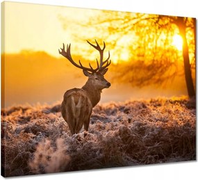 Vászonkép 50x40 Szarvas napfelkeltekor