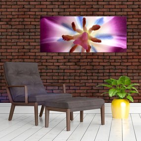 Kép - Tulipán virág részletesen (120x50 cm)