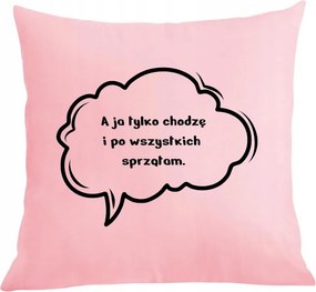 Párna párnahuzat Mindenkit takarítok