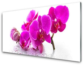 Üvegkép árvácska virág 100x50 cm