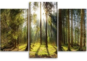 Gario Vászonkép Egy napsütéses nap az erdőben - 3 részes Méret: 150 x 100 cm