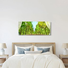 Kép - Kilátás az erdőre (120x50 cm)