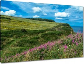 Vászonkép 120x80 Virágos rét a tengerparton
