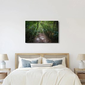 Kép - Napsugarak a dzsungelben (90x60 cm)