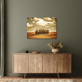 A Tisztás képe (üvegen) (70x50 cm)