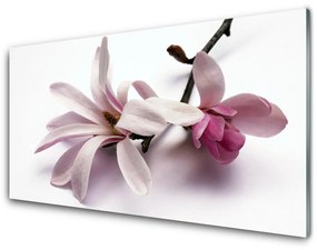 Akrilüveg fotó Természet virág növény 125x50 cm