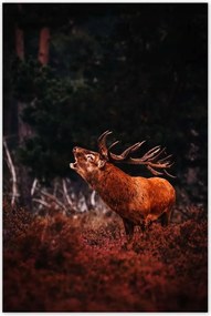 Poszterek 80x120 Szarvas az erdőben