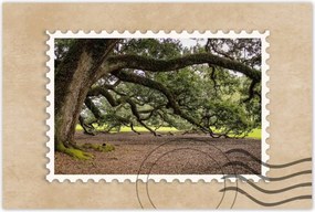 Poszterek 120x80 Szétnyitható tölgy