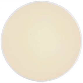 Globo 41586-24 - LED Dimmelhető mennyezeti lámpa SONNY LED/24W/230V + távirányító