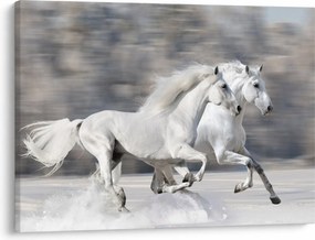 Kép - Fehér lovak télen (70x50 cm)