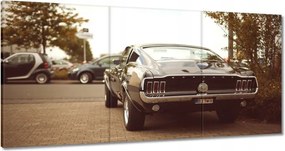 Képek 120x60 Vintage fotó Ford Mustang
