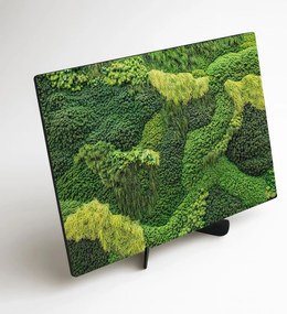 DUBLEZ | Moha fa kép – A természet ösvénye