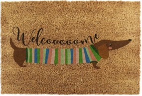 Kókuszrost lábtörlő 40x60 cm Welcome Sausage Dog – Artsy Doormats