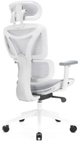 Ergonomikus irodai szék LEVANO szürke/fehér/fekete