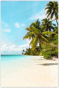 Poszterek 80x120 Trópusok Tájkép Pálmafák