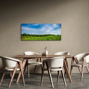 Rét képe (120x50 cm)