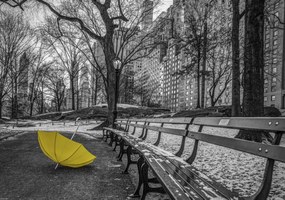 Poszter 66,5x46,5cm SĂĄrga esernyĆ az ösvĂ©nyen a Central Parkban 2, Assaf Frank