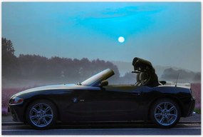 Poszterek 120x80 Bmw Esti idő