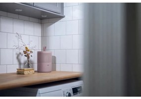 Everbrand Nedvességelnyelő Absodry Duo Family Bag6-sorozat, 50 m3-ig, rózsaszín