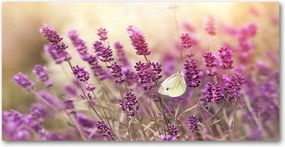 Üvegpanel konyhába Levendula 140x70 cm Ragasztó