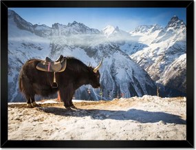 Poszterek keretben 40x30 Mint a himalájai