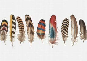 Fotótapéta Dekoratív Fali Tapéta Képek Színes tollak 208x146