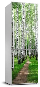 Hűtőre ragasztható matrica Nyírfa erdő FridgeStick-70x190-f-72008016