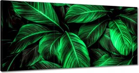 Vászonkép 60x30 Zöld levelek