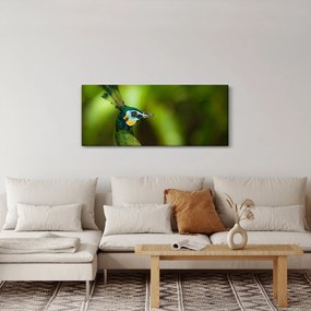 Páva képe (120x50 cm)